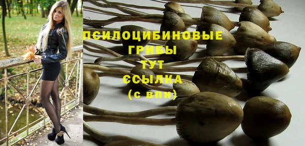 соль ск Богородицк