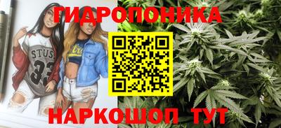 дмт Белореченск