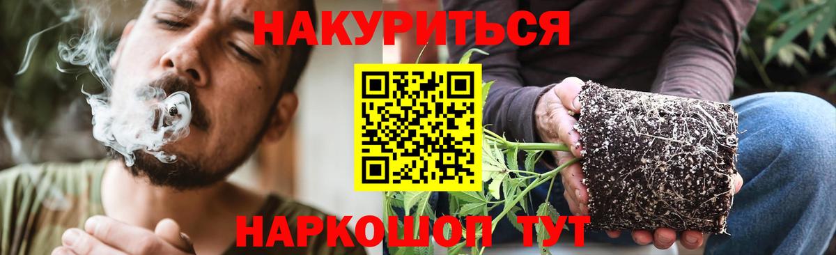 Губкинский  Шишки марихуана OG Kush  Шишки марихуана индика  Бошки марихуана Bruce Banner  Канабис гибрид  Вход с VPN 